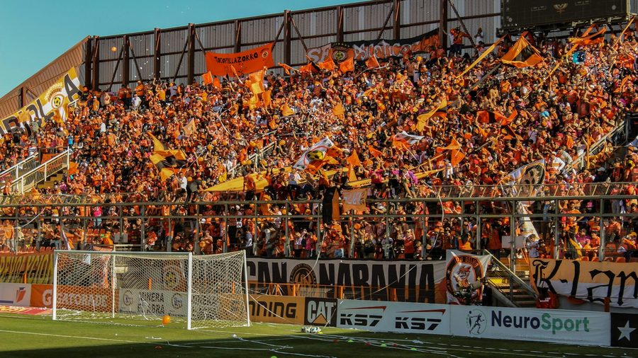 2026世界杯博彩 APP — 营业执照与资质公示示意配图